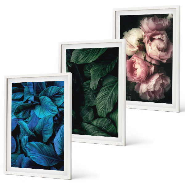 Tavelpaket med ramar Blad, blommor, olika färger