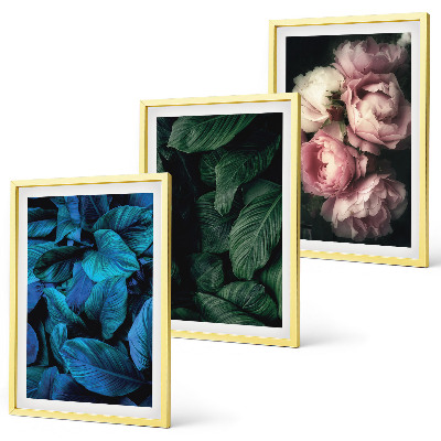 Tavelpaket med ramar Blad, blommor, olika färger