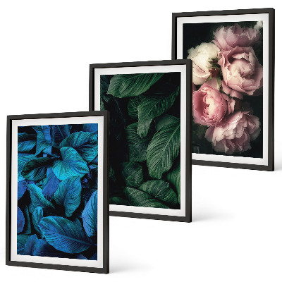 Tavelpaket med ramar Blad, blommor, olika färger