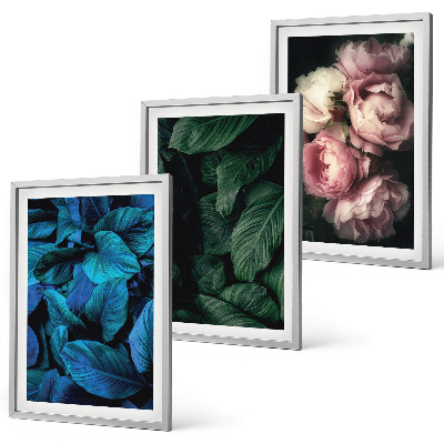 Tavelpaket med ramar Blad, blommor, olika färger