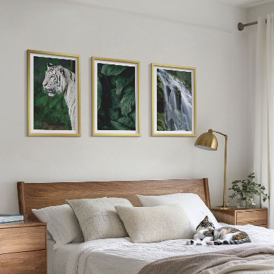 Set om 3 tavlor Vit tiger lämnar vattenfall