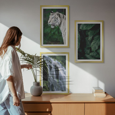 Set om 3 tavlor Vit tiger lämnar vattenfall