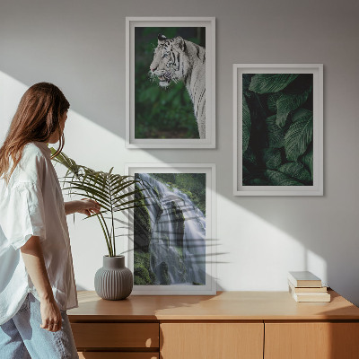 Set om 3 tavlor Vit tiger lämnar vattenfall