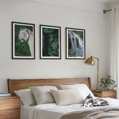Set om 3 tavlor Vit tiger lämnar vattenfall