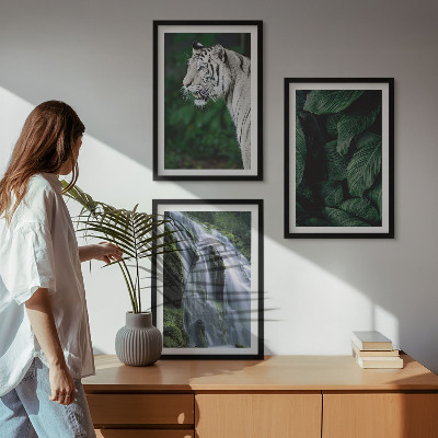 Set om 3 tavlor Vit tiger lämnar vattenfall