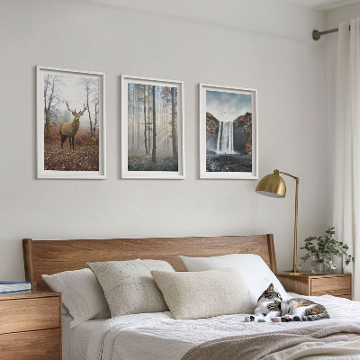 Tavelset ovanför soffa Skogslandskap vild natur