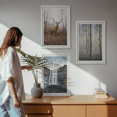 Tavelset ovanför soffa Skogslandskap vild natur