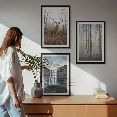 Tavelset ovanför soffa Skogslandskap vild natur