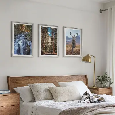 Tavelpaket med ramar vattenfall i skogen med berg och rådjur i naturen