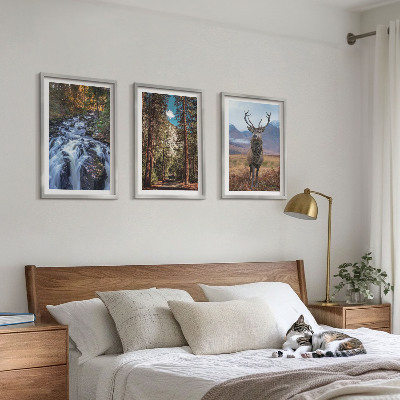 Tavelpaket med ramar vattenfall skog berg rådjur natur