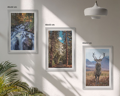 Tavelpaket med ramar vattenfall skog berg rådjur natur