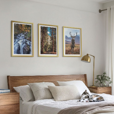 Tavelpaket med ramar vattenfall skog berg rådjur natur