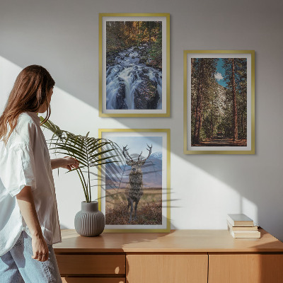 Tavelpaket med ramar vattenfall skog berg rådjur natur