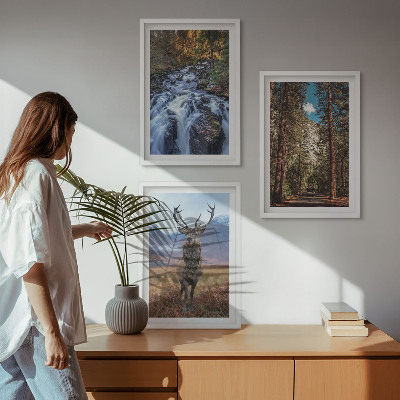 Tavelpaket med ramar vattenfall skog berg rådjur natur