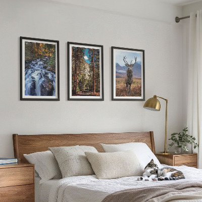 Tavelpaket med ramar vattenfall skog berg rådjur natur