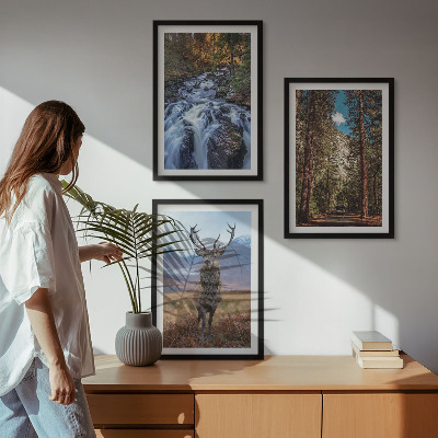 Tavelpaket med ramar vattenfall skog berg rådjur natur