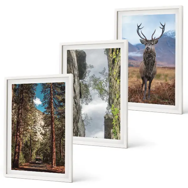 Set med 3 tavlor med motiv av skog, berg och rådjur i naturen