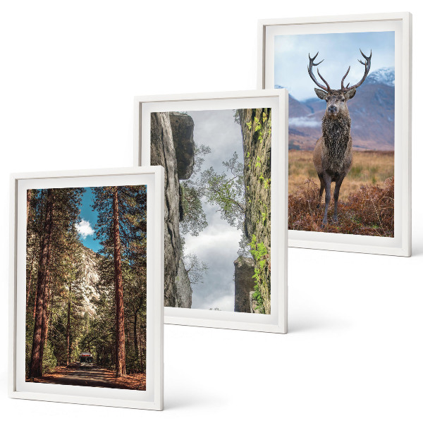 Set om 3 tavlor väg skog berg rådjur natur