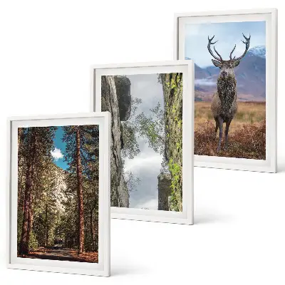 Set med 3 tavlor med motiv av skog, berg och rådjur i naturen