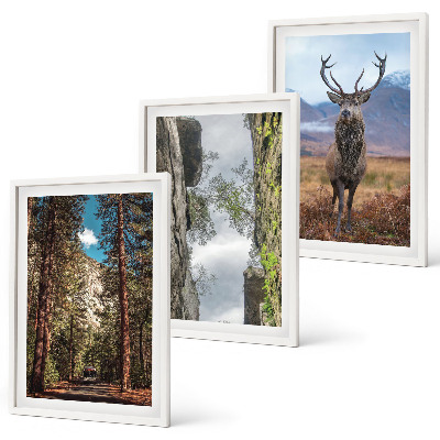 Set om 3 tavlor väg skog berg rådjur natur