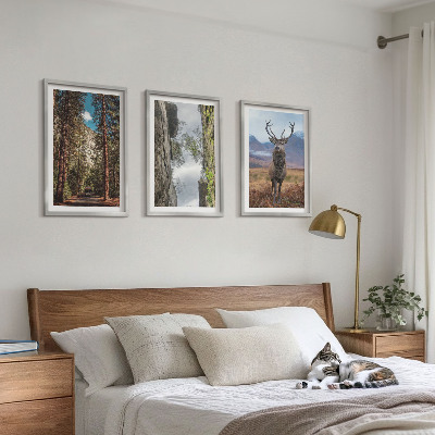 Set om 3 tavlor väg skog berg rådjur natur