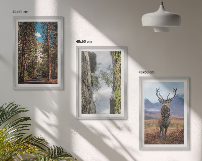 Set om 3 tavlor väg skog berg rådjur natur