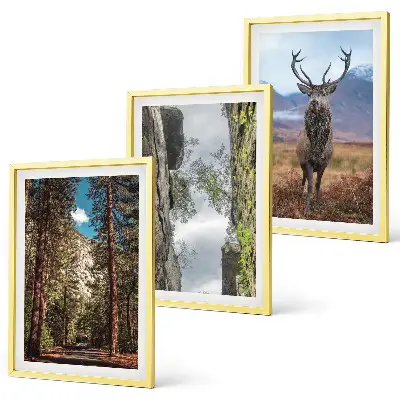 Set med 3 tavlor med motiv av skog, berg och rådjur i naturen