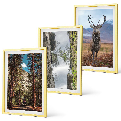 Set om 3 tavlor väg skog berg rådjur natur