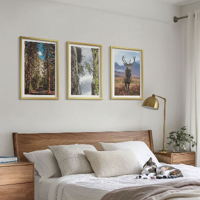 Set om 3 tavlor väg skog berg rådjur natur