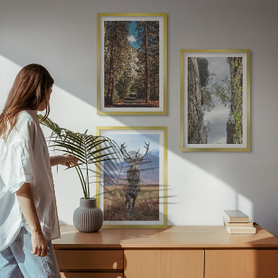 Set om 3 tavlor väg skog berg rådjur natur