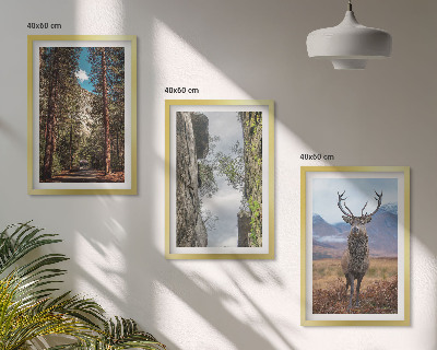 Set om 3 tavlor väg skog berg rådjur natur