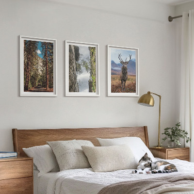 Set om 3 tavlor väg skog berg rådjur natur