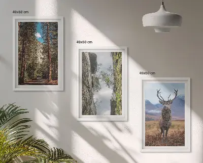 Set med 3 tavlor med motiv av skog, berg och rådjur i naturen