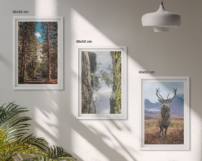 Set om 3 tavlor väg skog berg rådjur natur