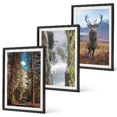 Set om 3 tavlor väg skog berg rådjur natur