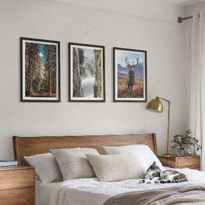 Set om 3 tavlor väg skog berg rådjur natur