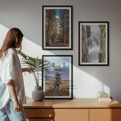 Set om 3 tavlor väg skog berg rådjur natur
