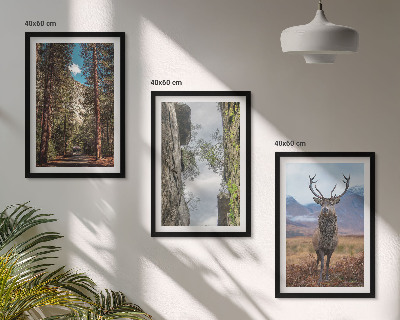 Set om 3 tavlor väg skog berg rådjur natur