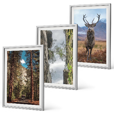 Set om 3 tavlor väg skog berg rådjur natur