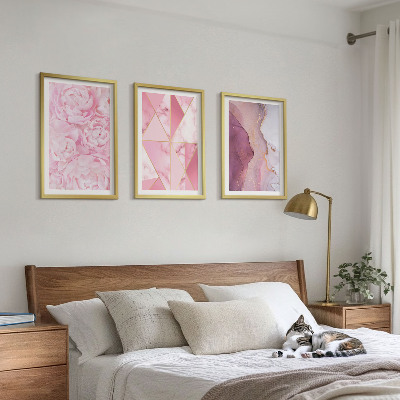 Tavelpaket med ramar Rosa geometriska pioner
