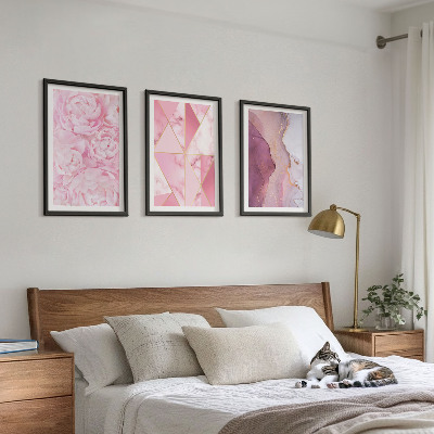 Tavelpaket med ramar Rosa geometriska pioner