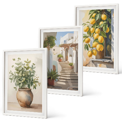 Set om 3 tavlor Citronblomkrukor gata