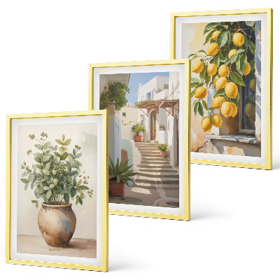 Set om 3 tavlor Citronblomkrukor gata