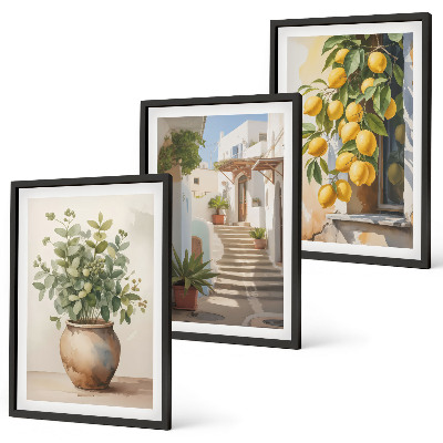 Set om 3 tavlor Citronblomkrukor gata