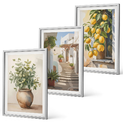 Set om 3 tavlor Citronblomkrukor gata