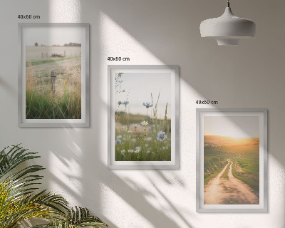 Tavelpaket med ramar Landskap natur fält stig
