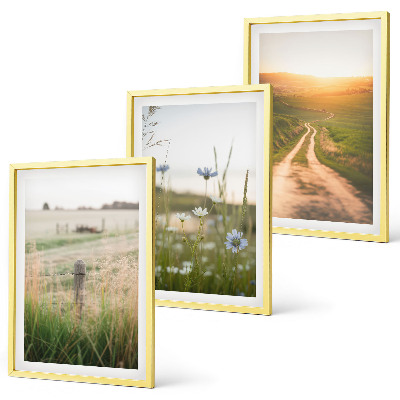 Tavelpaket med ramar Landskap natur fält stig