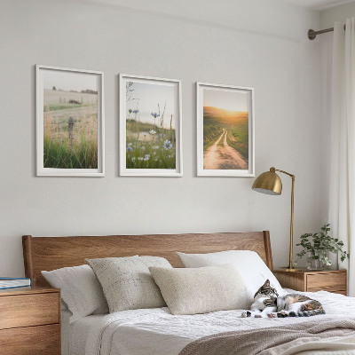 Tavelpaket med ramar Landskap natur fält stig