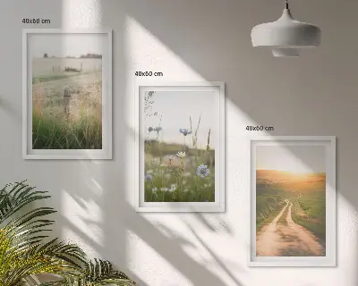 Tavelset med ramar landskap med stig genom naturfält