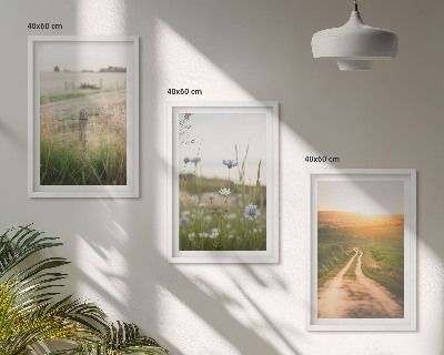 Tavelpaket med ramar Landskap natur fält stig